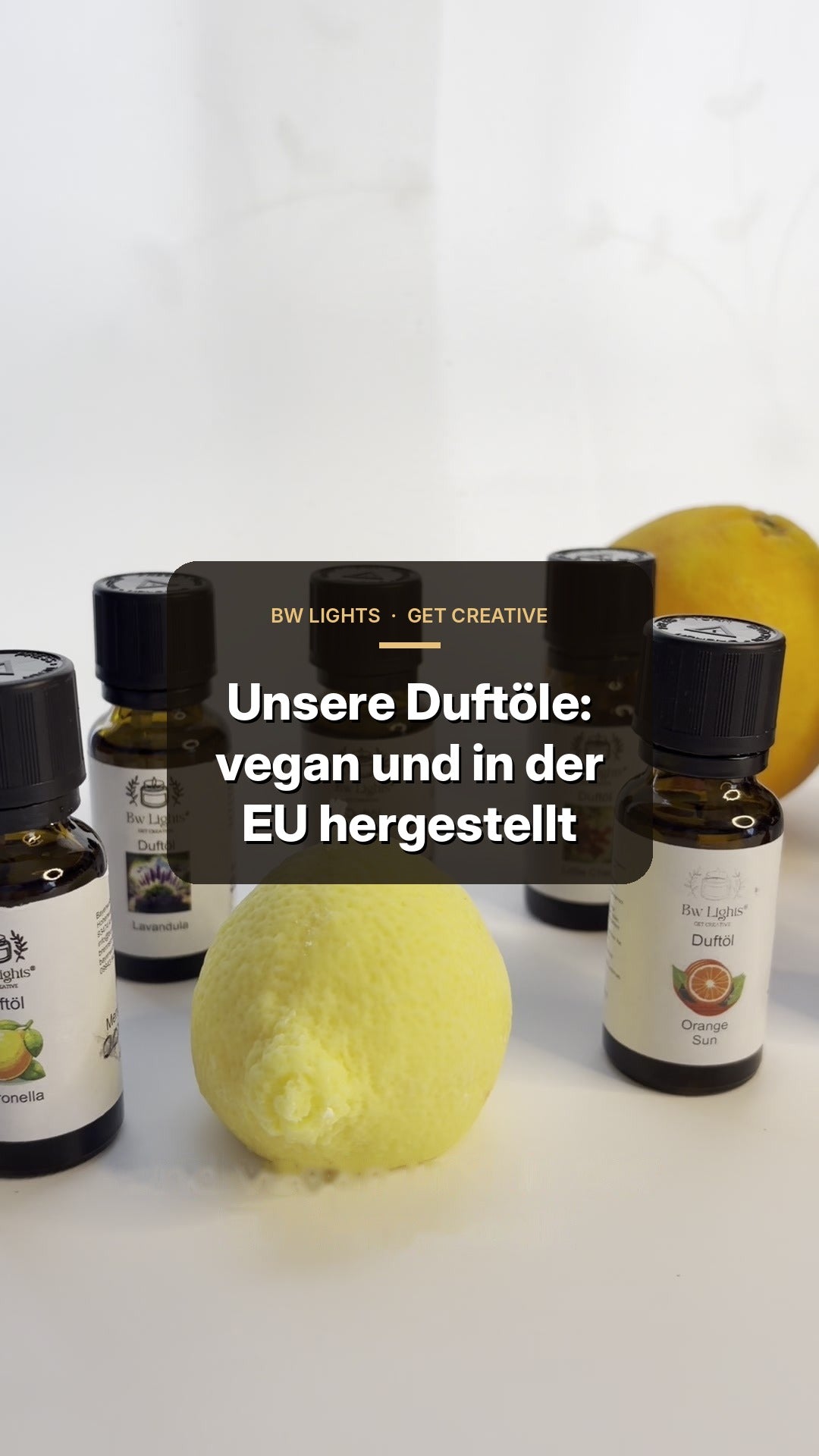 Galeriebild